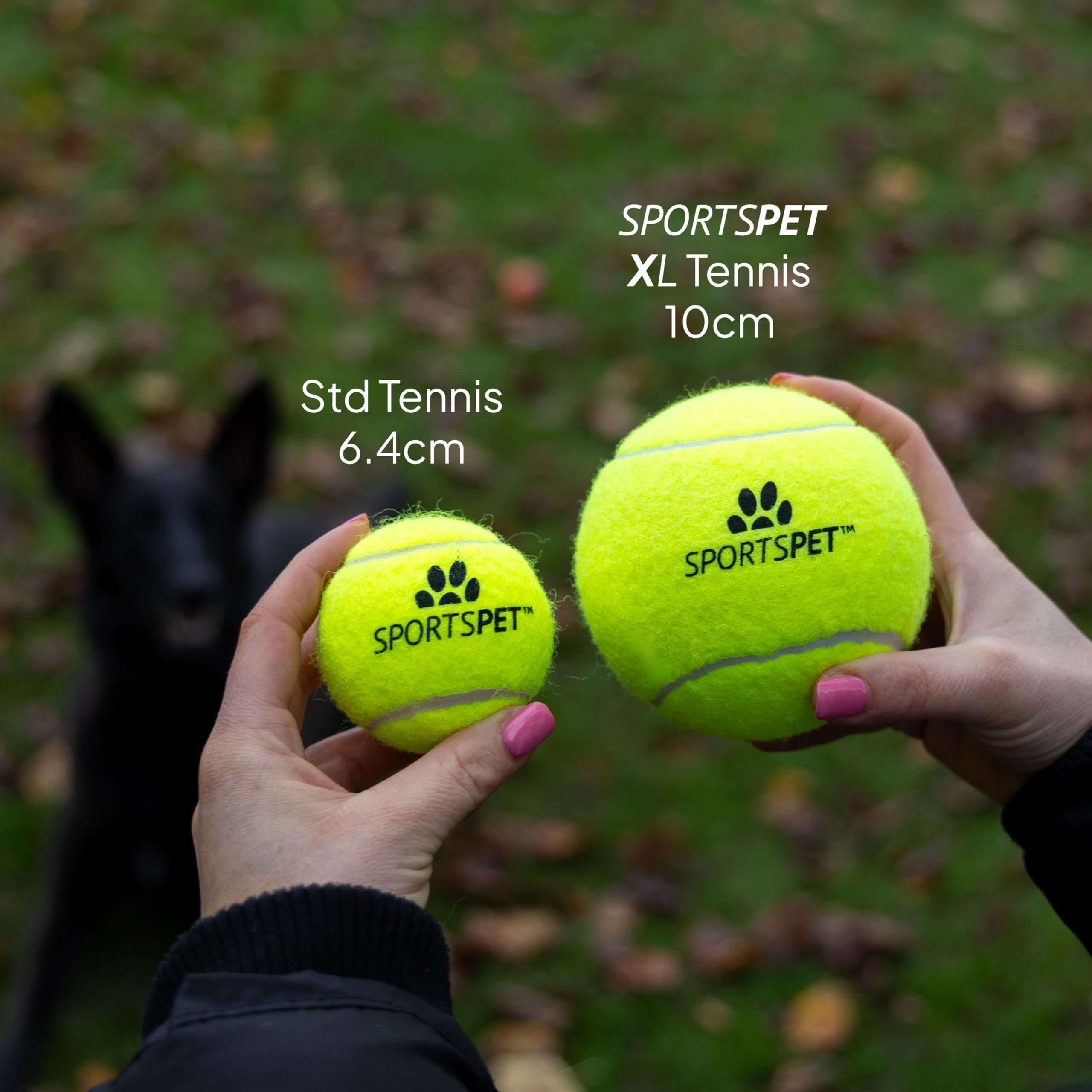 SPORTSPET XL Tennis Balls for Dogs - Extra Bouncy - Non Toxic - Durable - Long Lasting - Floats (Tennis Balls XL 2 Pack (4inch) - Image 3