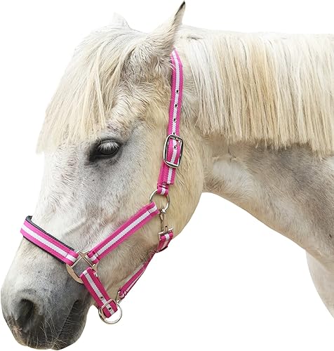 LEAFOREST Caballo Caballo Durable Cómodo cuero grueso acolchado corona ajustable y correa de barbilla