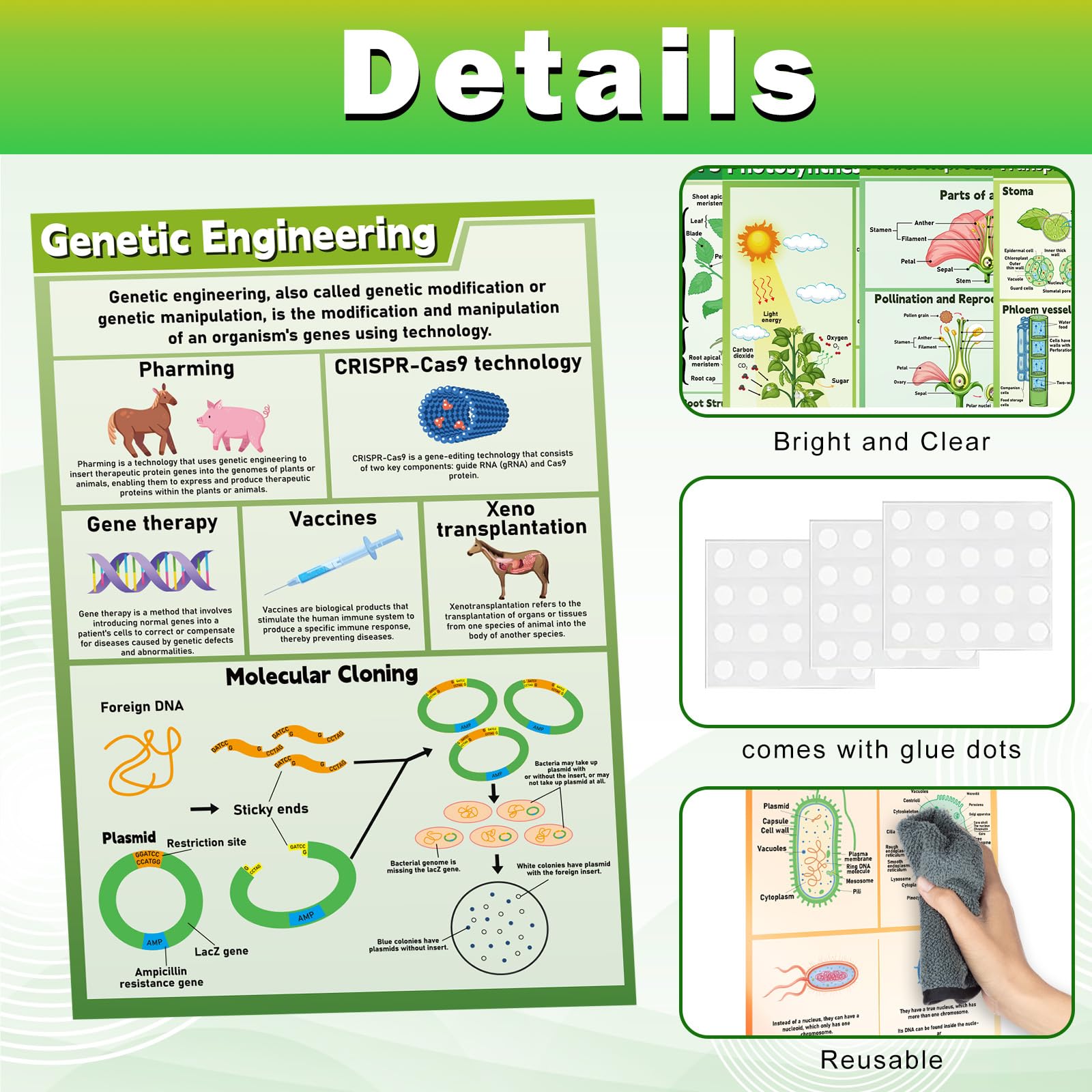 EggSun 16 Pcs Ecosystems Science Posters For High School - View #10