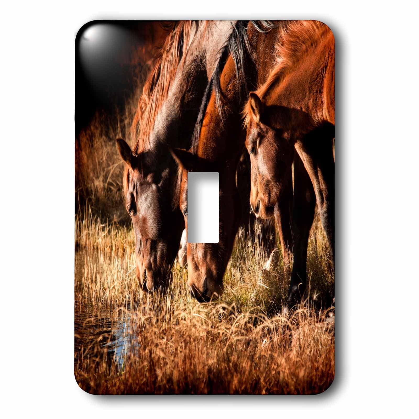 Trois chevaux interrupteur à bascule artistique finition crépuscule multicolore durable
