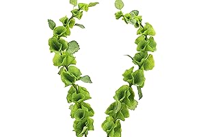 FiveSeasonStuff Artificial Bells of Ireland, Floral Bouquet Arrangement, 2 Stems