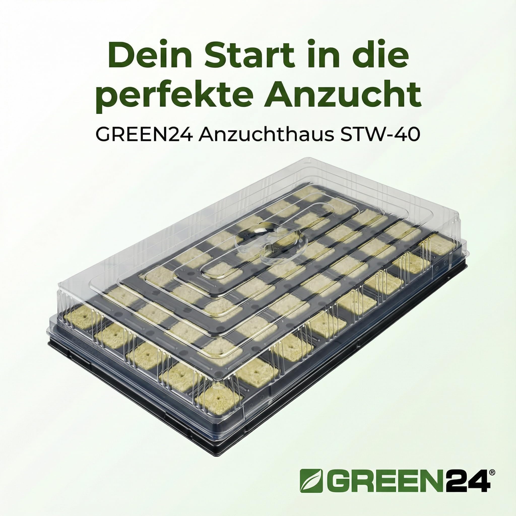 GREEN24 Anzuchthaus STW-40 inkl. 40 Steinwollewürfel 40x40x40mm - Anzuchthaus Steinwolle für Pflanzenanzucht und Hydroponik - Für Samen, Saatgut und Stecklinge