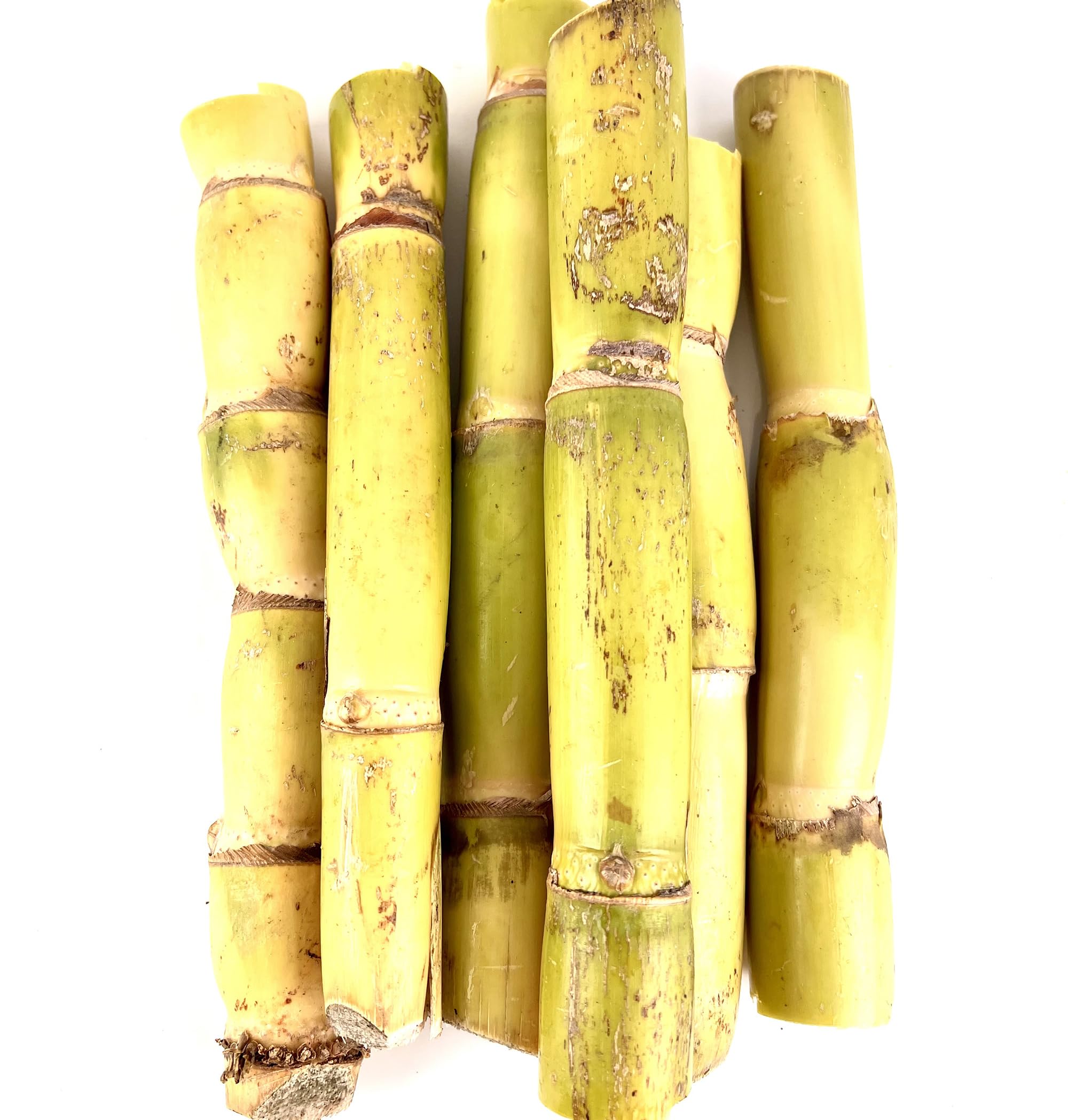 Fresh Yellow Green Organic Sugarcane Cuttings