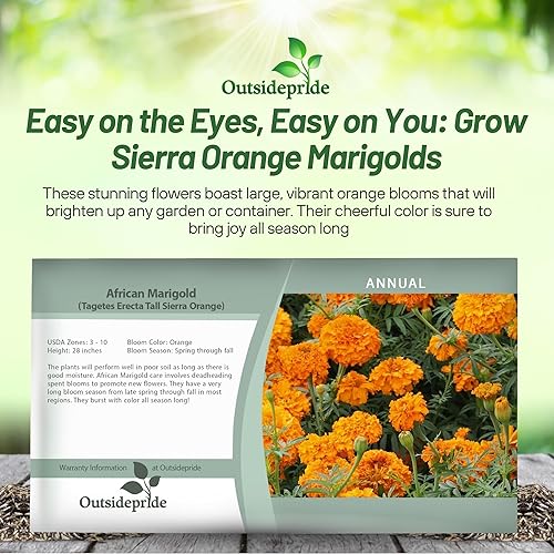 Miniatura 6 de Outsidepride Tagetes Erecta - Caléndula africana naranja para macizos de flores o recipientes grandes 1000 semillas