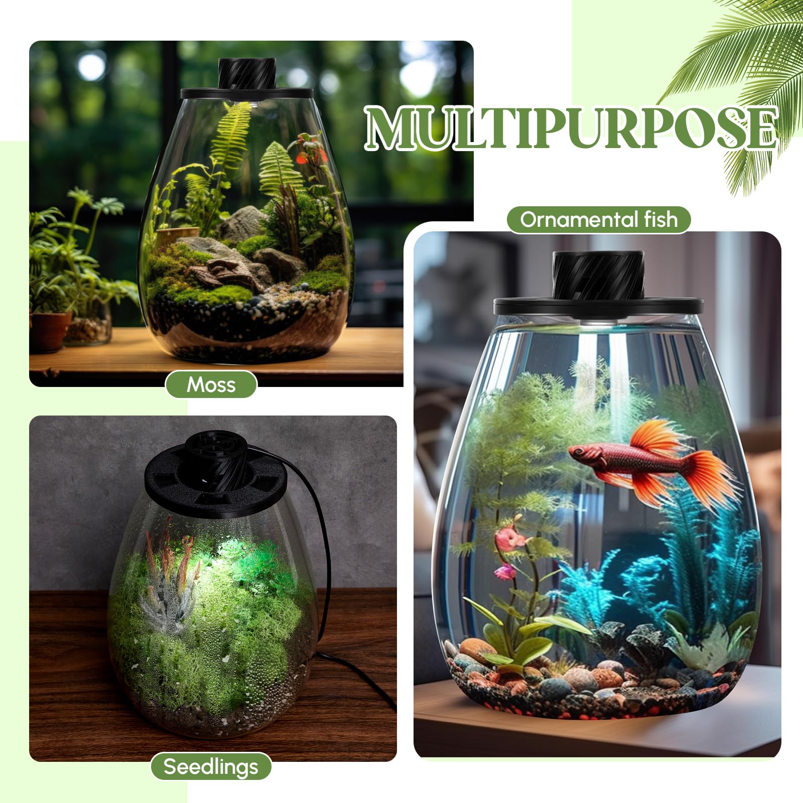 Maxdot Kit de terrario de vidrio con luz LED de crecimiento, terrario de escritorio para trampa de moscas Venus, suculentas, musgo y jardín en miniatura, maceta de escritorio de vidrio de borosilicato
