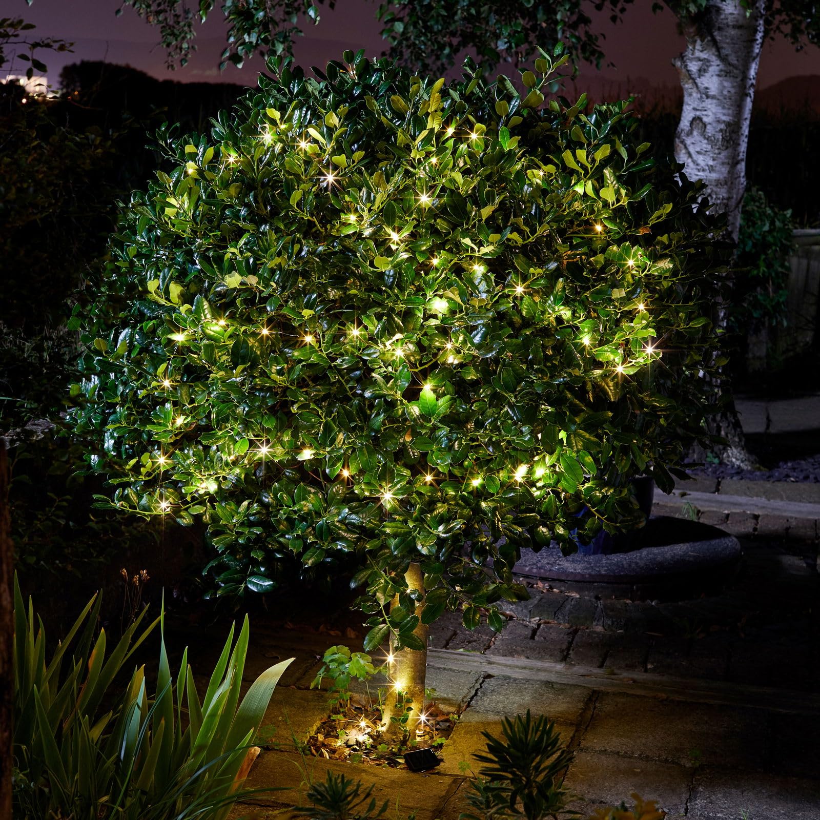 Smart Garden Firefly Solar-Powered 200 Led Outdoor String Lights, Pack Of 1
