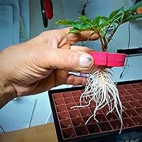 Vista 4 de máquina de aeroponia para injertos con 36 espacios