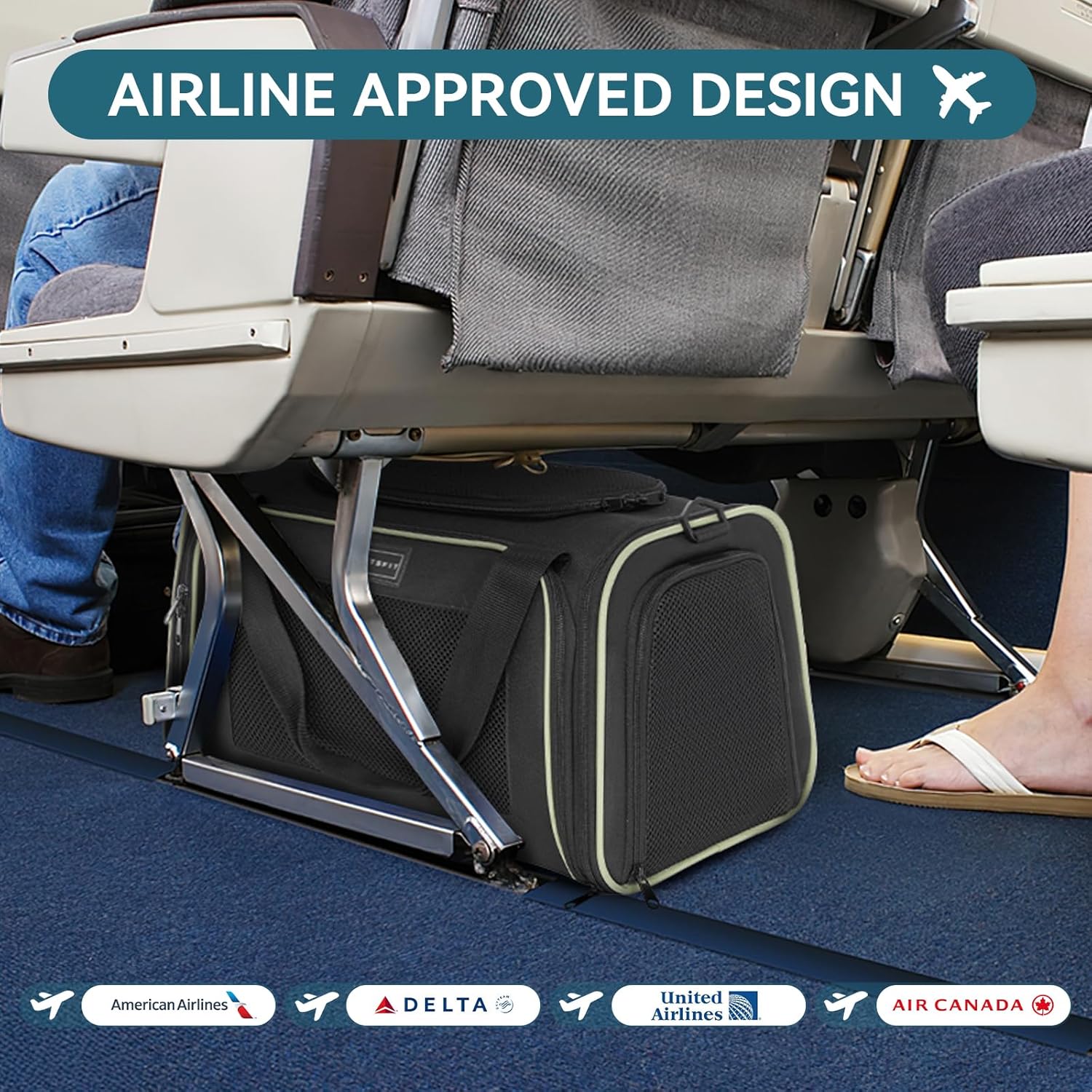 Travel with Ease: Review of the PETSFIT Airline Approved Pet Carrier