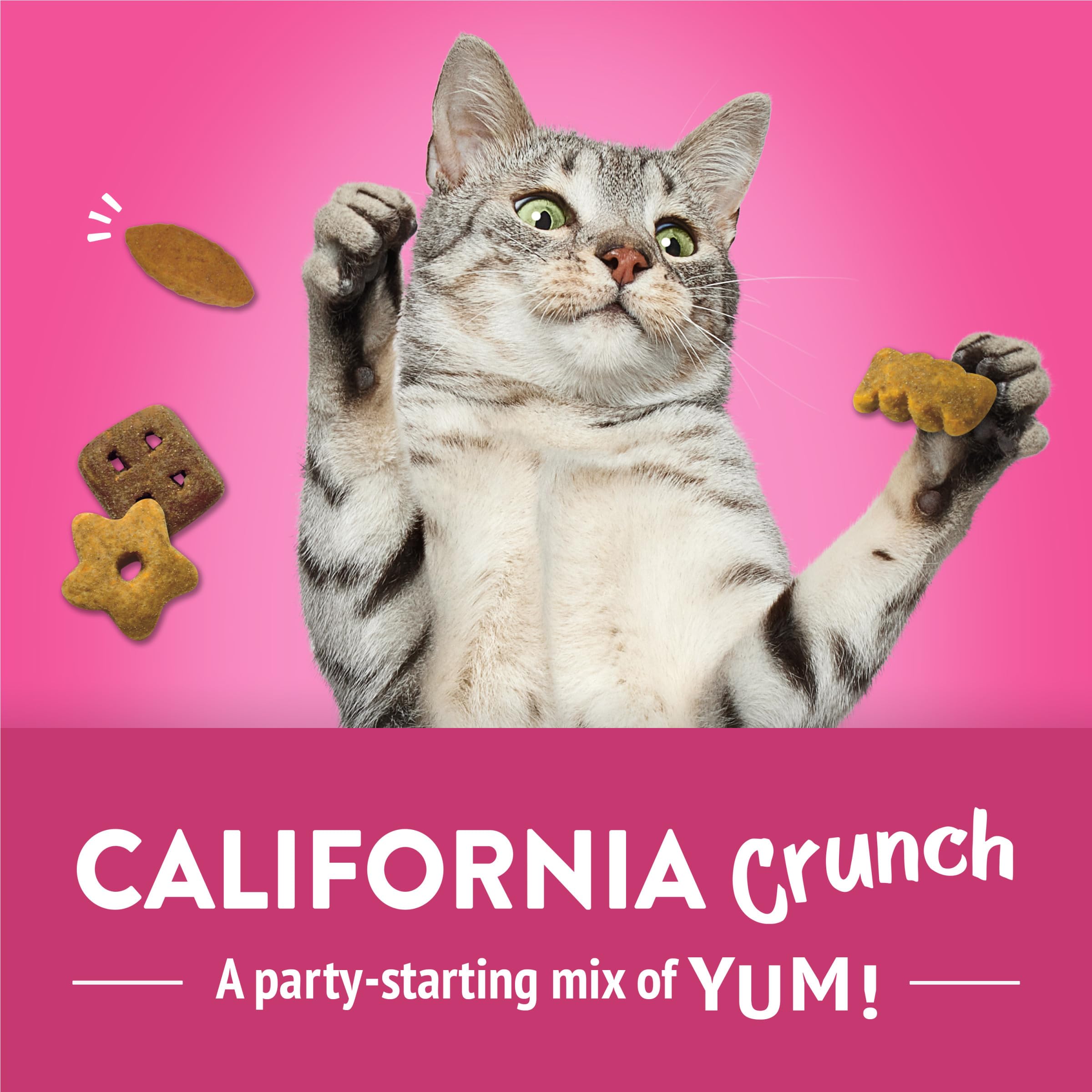 Purina Friskies Party Mix California Crunch with Chicken and Flavors of Turkey and Bacon Cat Treats - 30 oz Canister - 2