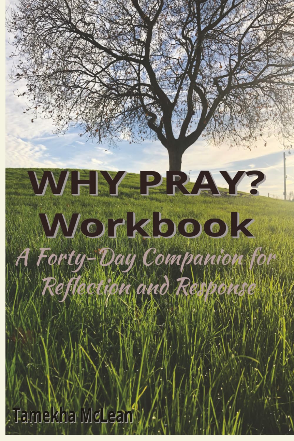 WHY PRAY? In the Secret Place WORKBOOK: A Forty-Day Companion for Reflection and Response