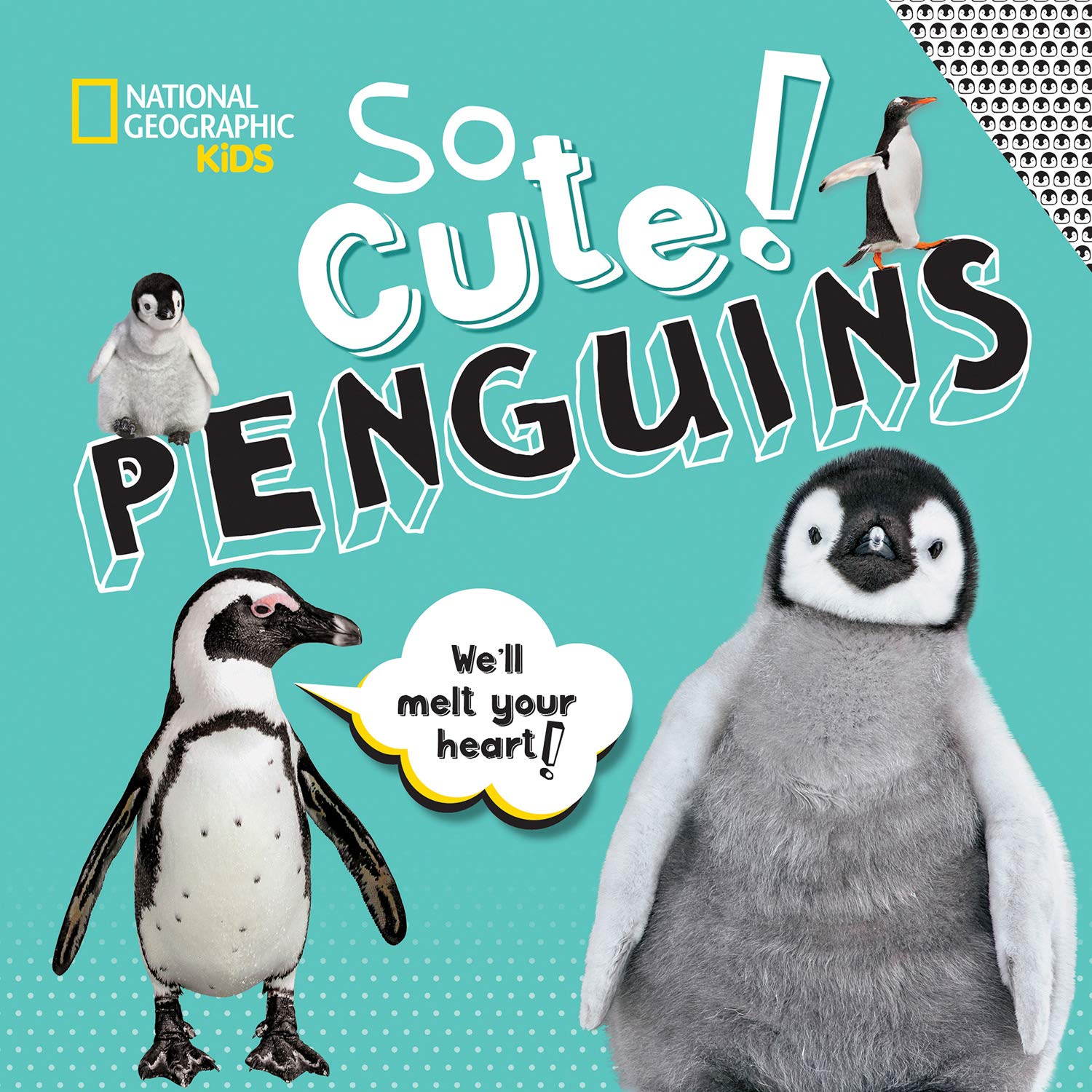 So Cute!: Penguins (So Cool/So Cute)