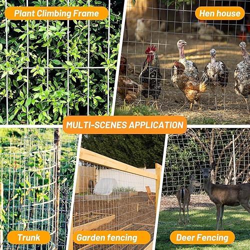 Miniatura 5 de AMAGABELI GARDEN & HOME Paño de hardware 36 pulgadas x 50 pies 2 "X4" galvanizado antes de soldar aberturas cuadradas calibre 15 rollo de valla de