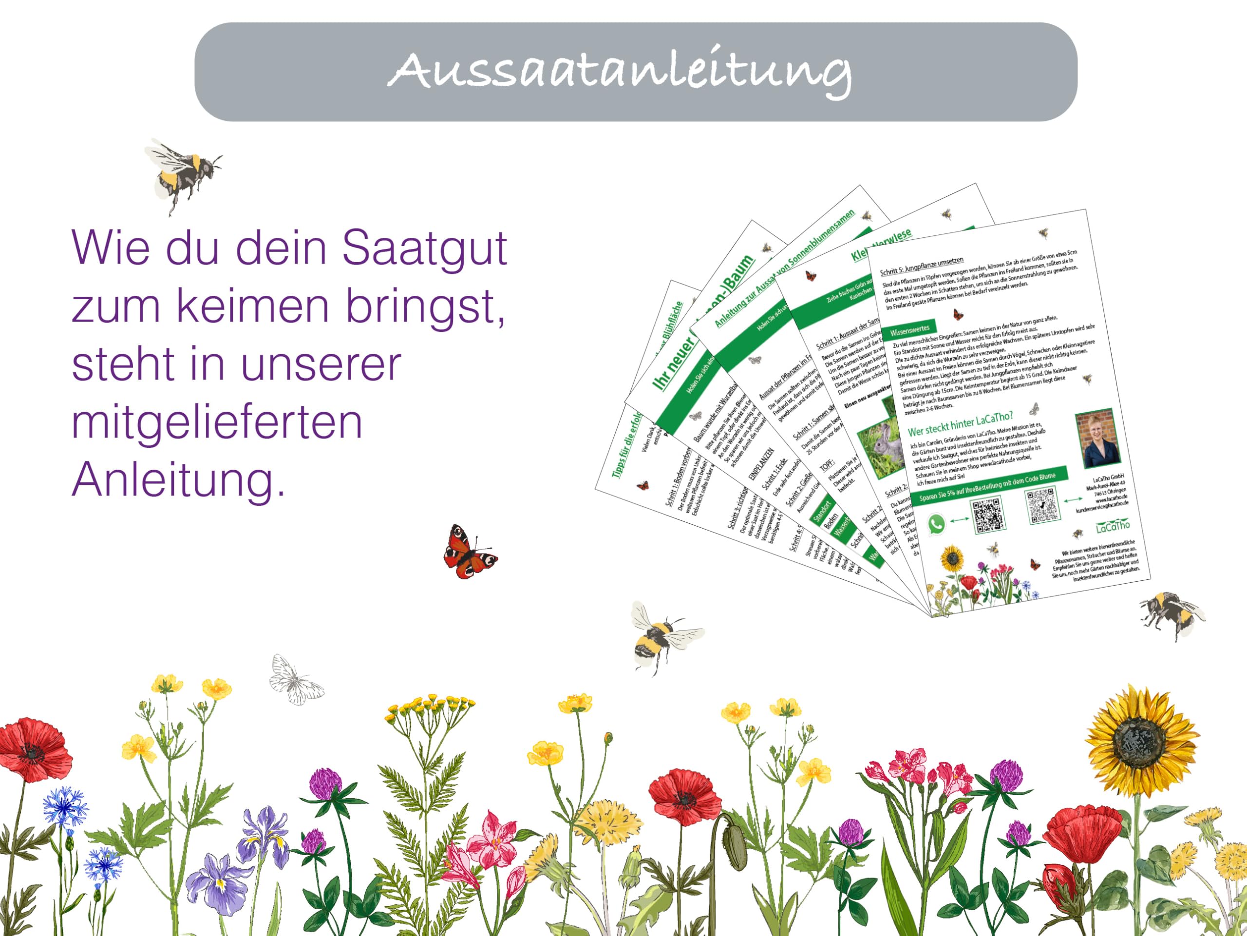 100.000 deutsche Löwenzahn Samen lat. Taraxacum Saatgut mehrjährig & winterhart, Futterpflanze Kaninchen, Hase, Meerschweinchen; Löwenzahnblüten Bienenmagnet Pollen Pusteblume