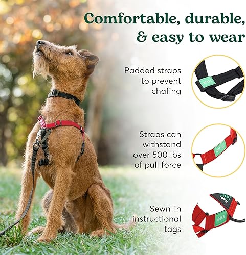Miniatura 6 de Rover Gear Better Walk - Arnés para perro sin tirones, ajustable y cómodo arnés para perro, tamaño mediano, 1 pulgada, rojo
