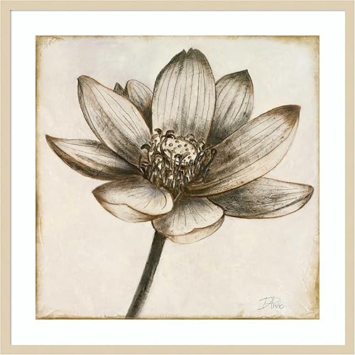 Amanti Art Lienzo decorativo para pared, 33 x 33 pulgadas, flor de loto sepia II por Patricia Pinto, arte de pared de flores, decoración vintage,