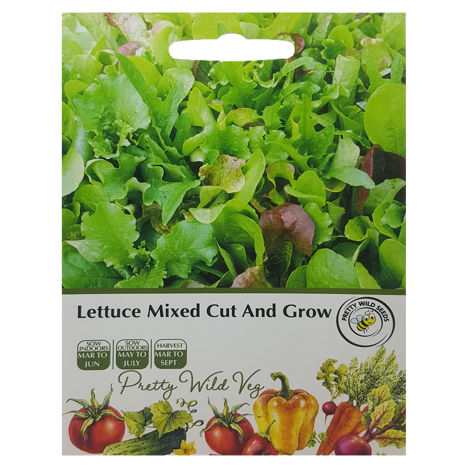 Cucumber Cucamelon Seeds in Pictorial Packet from a UK Seller Cute Fruits with Unique Crunch & Flavour — view 118