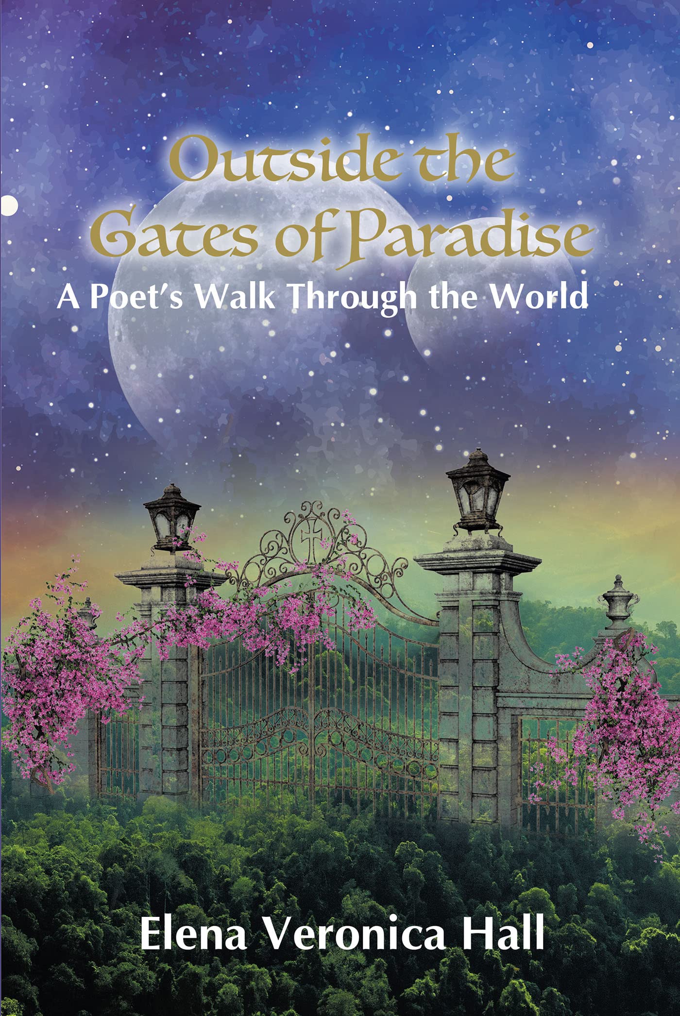 Outside the Gates of Paradise: A Poet's Walk Through the World
