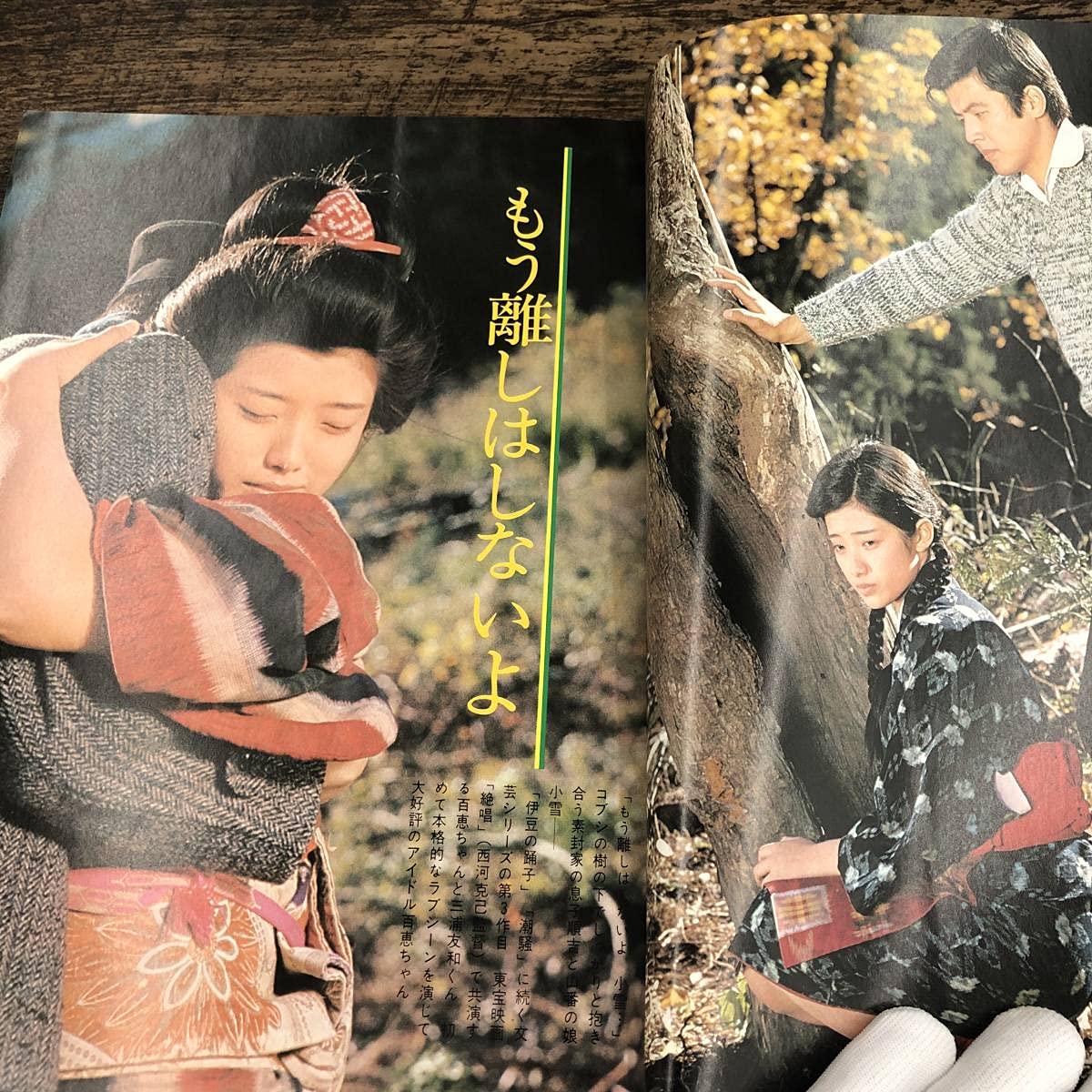 Amazon.co.jp: Q-4729□近代映画 1月号臨時増刊 山口百恵「絶唱