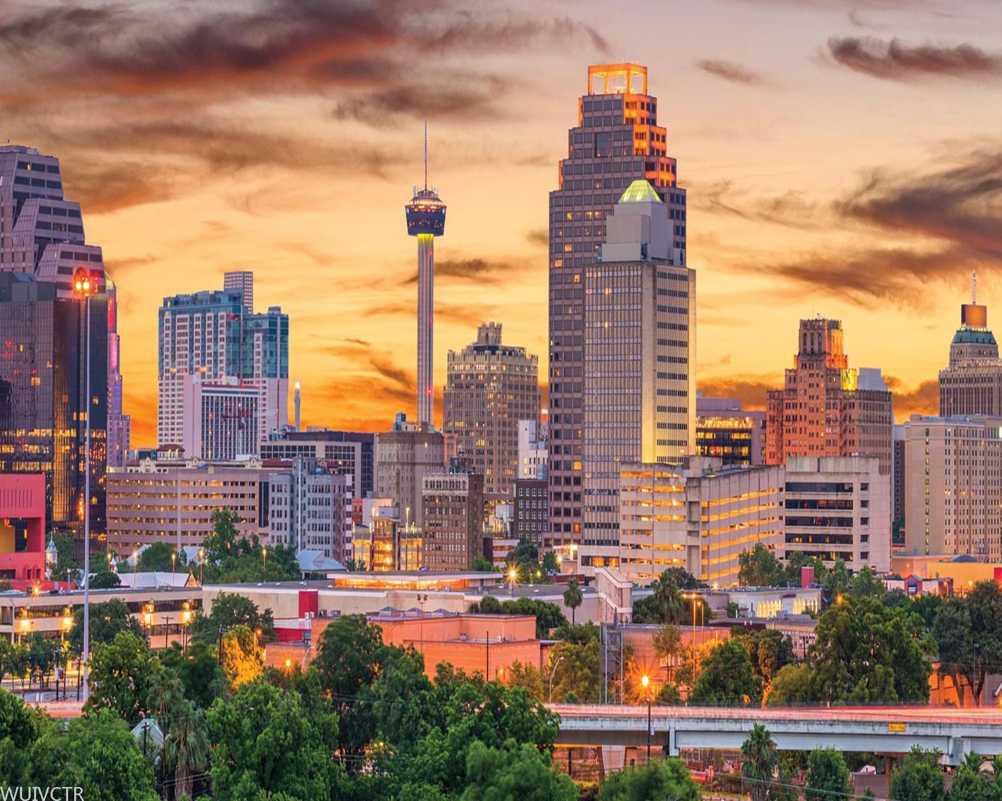 WUIVCTR Painting Texas City View United States San Antonio Painting by Numbers DIY Unique Canvas Oil Painting Kit Digital Painting 16x20in