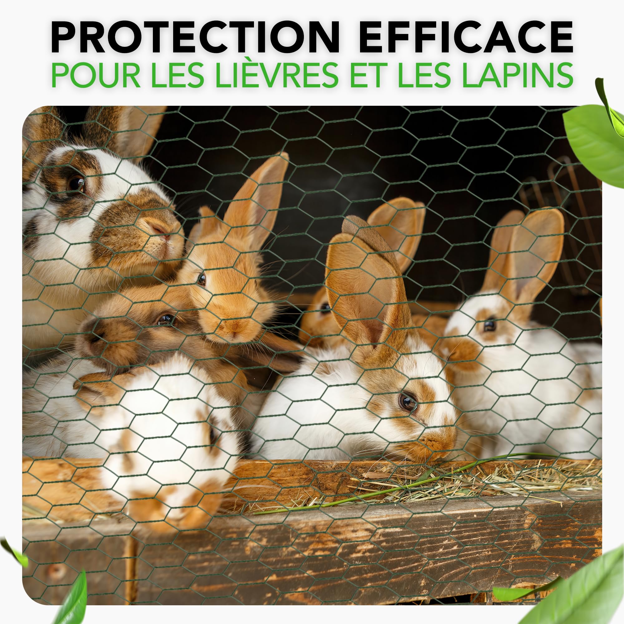 Grillage à mailles fines 50 x 1 m, maille 2,5 cm, grillage de lapin | Clôture de grillage pour lapin, volière, poulailler et jardin, mailles fines de 2,5 cm