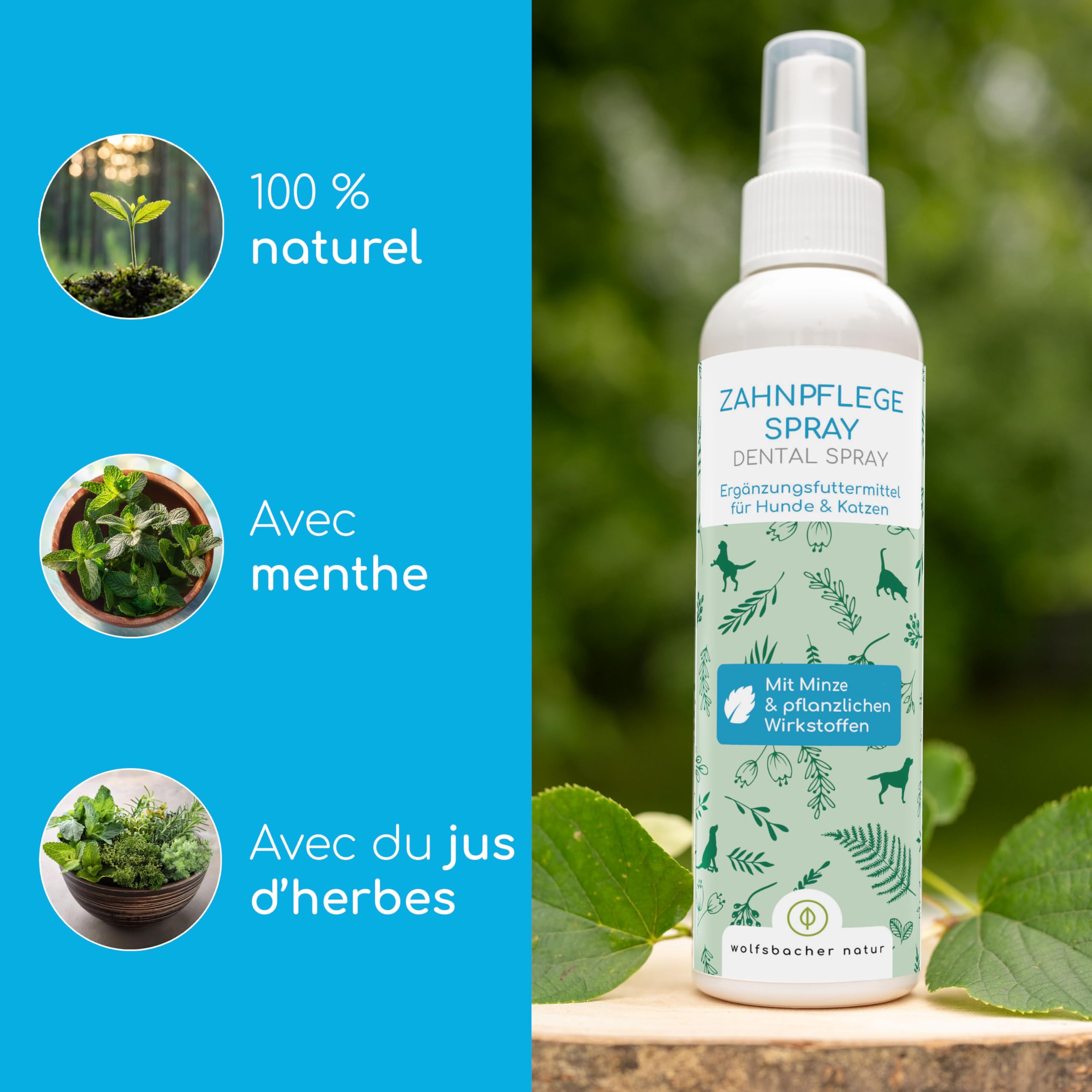 Détartrant pour Chiens & Chats – Spray Dentaire Naturel pour un Nettoyage sans Brosse – Élimine le Tartre & Réduit la Mauvaise Haleine – Haleine Fraîche à la Menthe 150ml