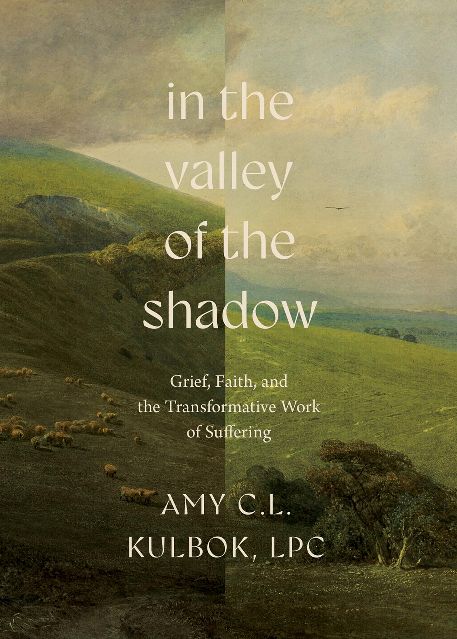 In the Valley of the Shadow: Grief, Faith, and the Transformative Work of Suffering