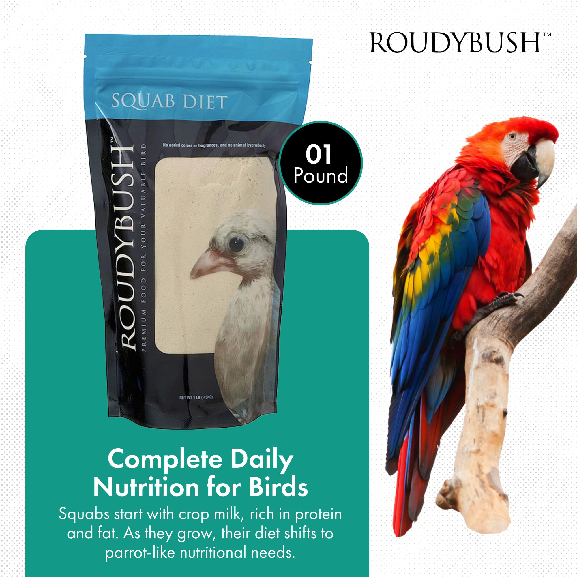 RoudyBush Squab Diet - Alimento para palomas y palomas - Alimento para pájaros bebés para Columbiformes - Mezcla de alimentos de reemplazo de leche para palomas y palomas - Enriquecimiento de pollitos