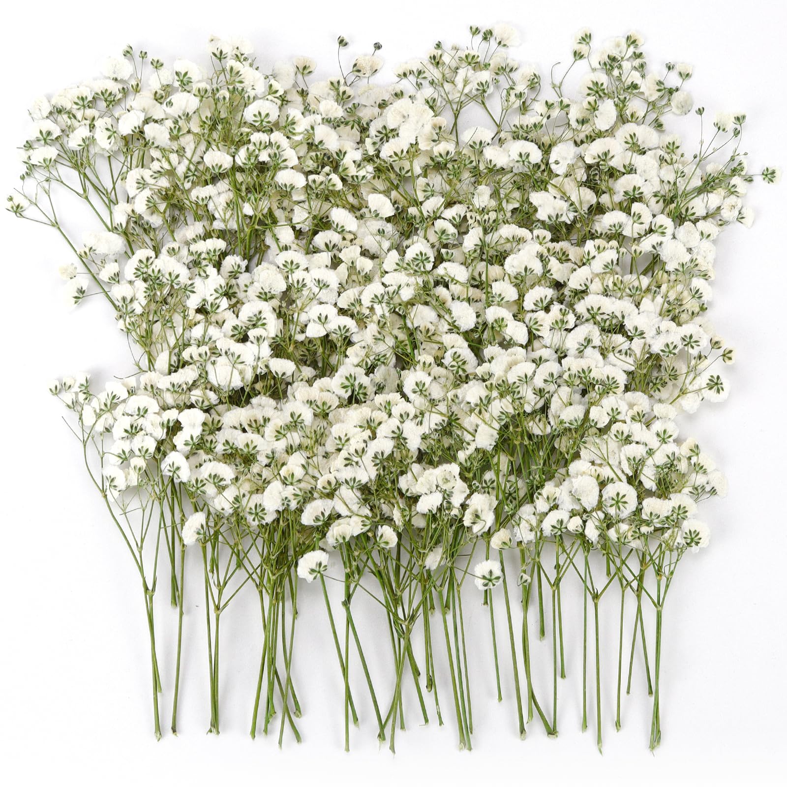 TINA.WIN Trockenblumenstrauß Set - Natürliche Deko Für DIY, Kerzenharz & Bastelarbeiten
