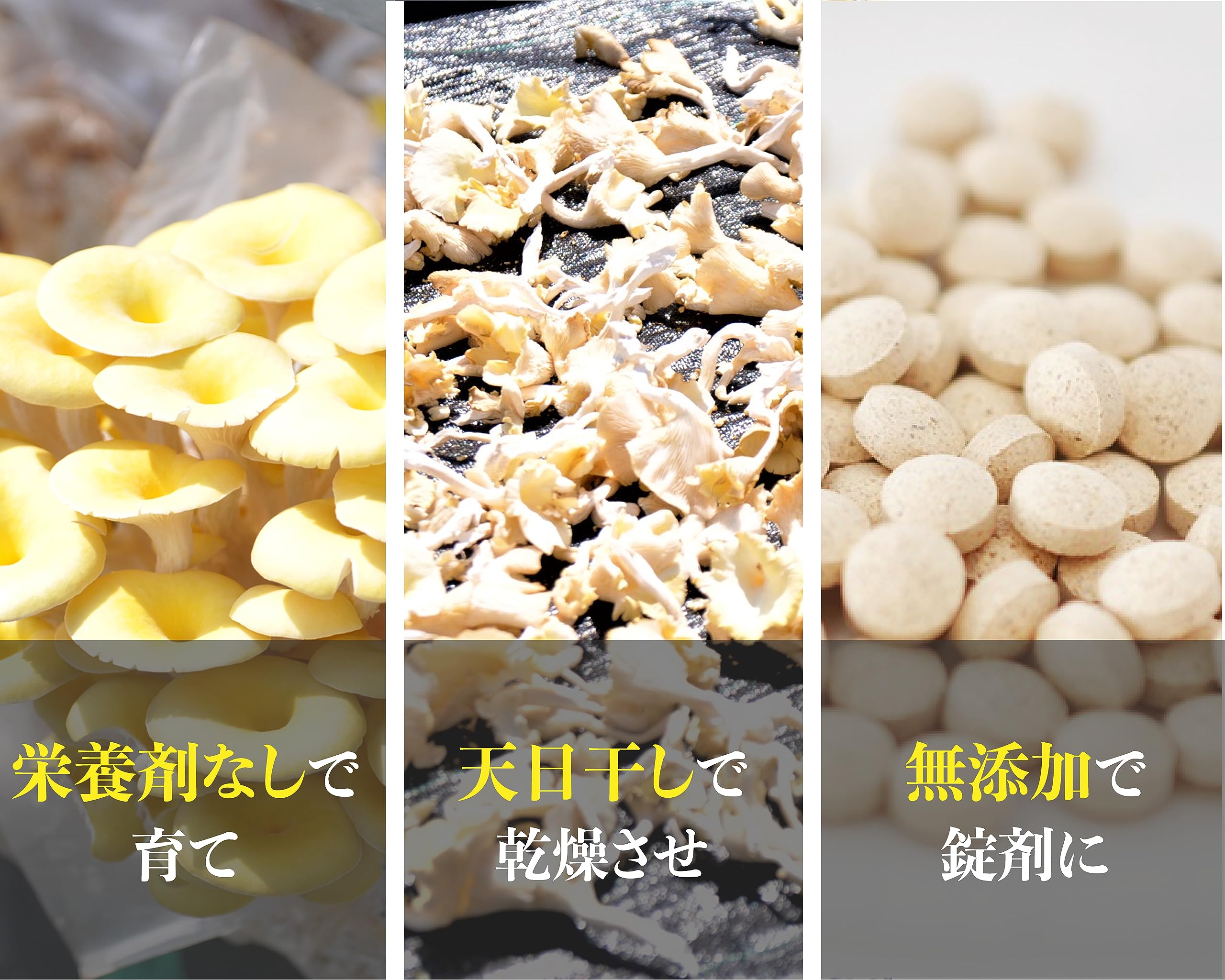 Japan keystone たもぎたけ 100% サプリメント 国内産 天日干し 90粒