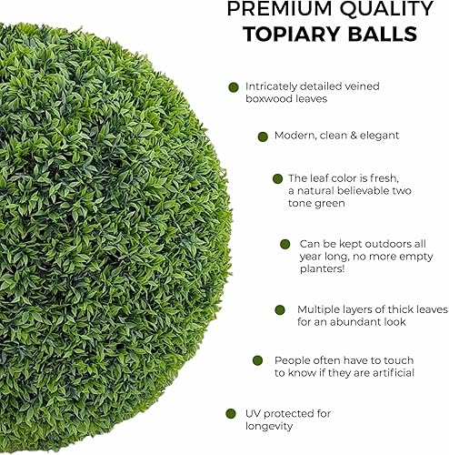 Miniatura 4 de 365 Curb Appeal Juego de 2 bolas topiarias grandes (mejor que un boj)