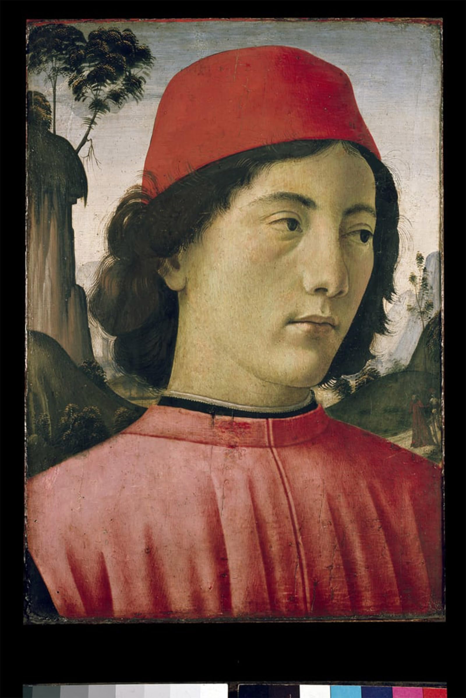 SERENDIPITP Aesthetic Poster Photo Wall Print Retro Picture Portrait of a Young Man by Domenico Ghirlandaio Modern Wall Artwork for Home Decor 60x90cm