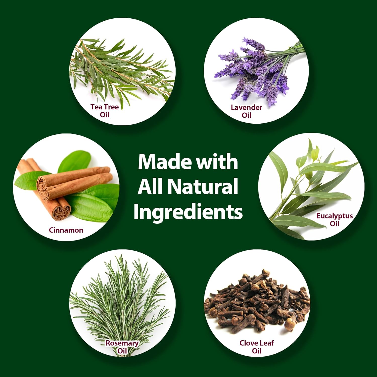 Mitey Clean All-Natural Laundry Additive - 16 Fl Oz