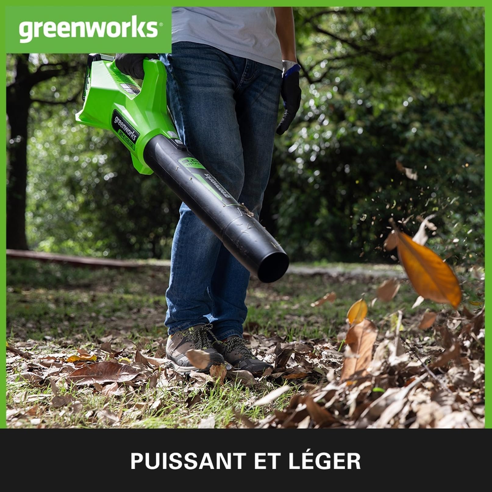 Greenworks G24ABII Souffleur à Batterie Axial de Feuilles Mortes Sans Fil, 145 km/h, 9,08 m³/min SANS Batterie 24V Ni Chargeur, Garantie 3 Ans