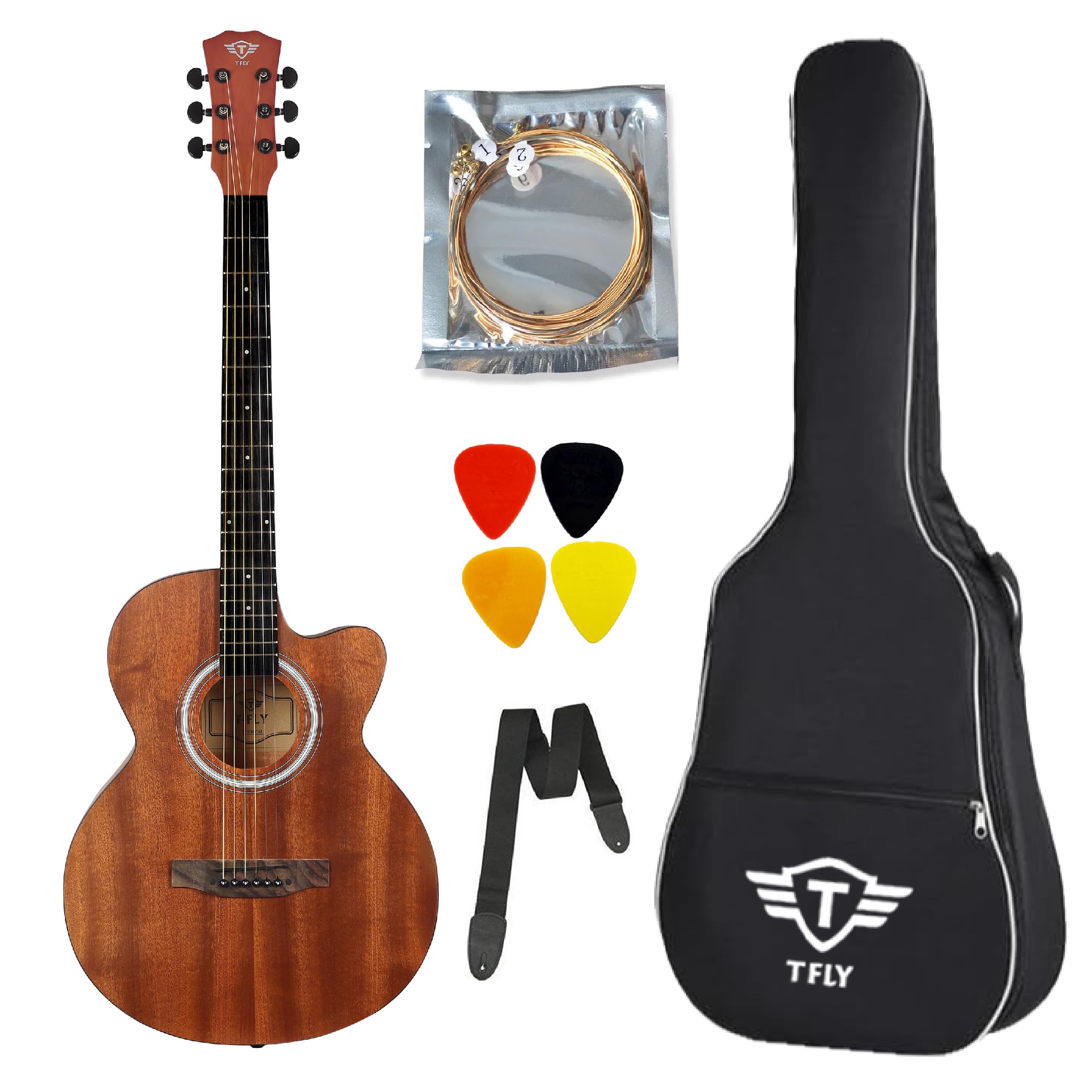 T Fly TF239CMP Semi-Acoustic Guitar, 39 Inches Cutaway, Rosewood