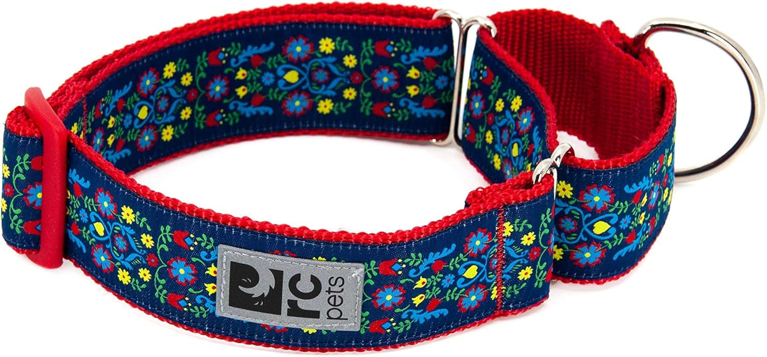 RC Pets 11/2 Inch All bing Martingale Training Dog Collar, Medium