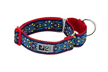 RC Pets 1-1/2 Inch All Webbing Martingale Training Dog Collar, Medium, Feeling Folksy