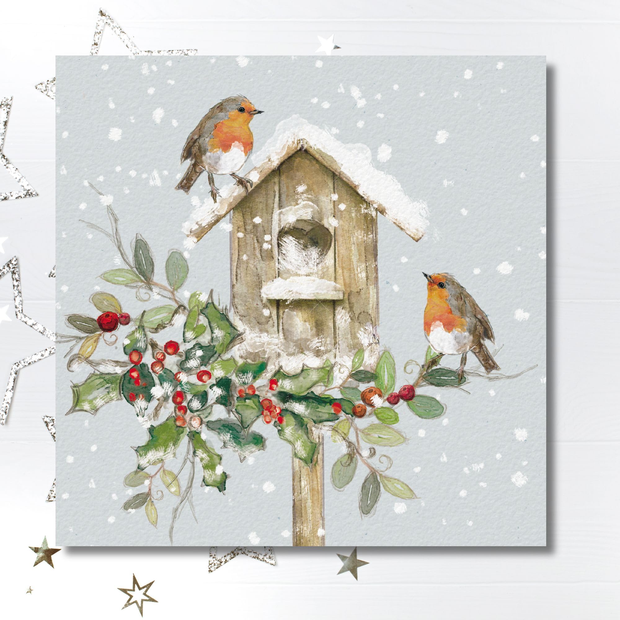 GBCC Charity Christmas Cards Pack of 10, Festive Robins & Birdhouse in the Snow - Image 4