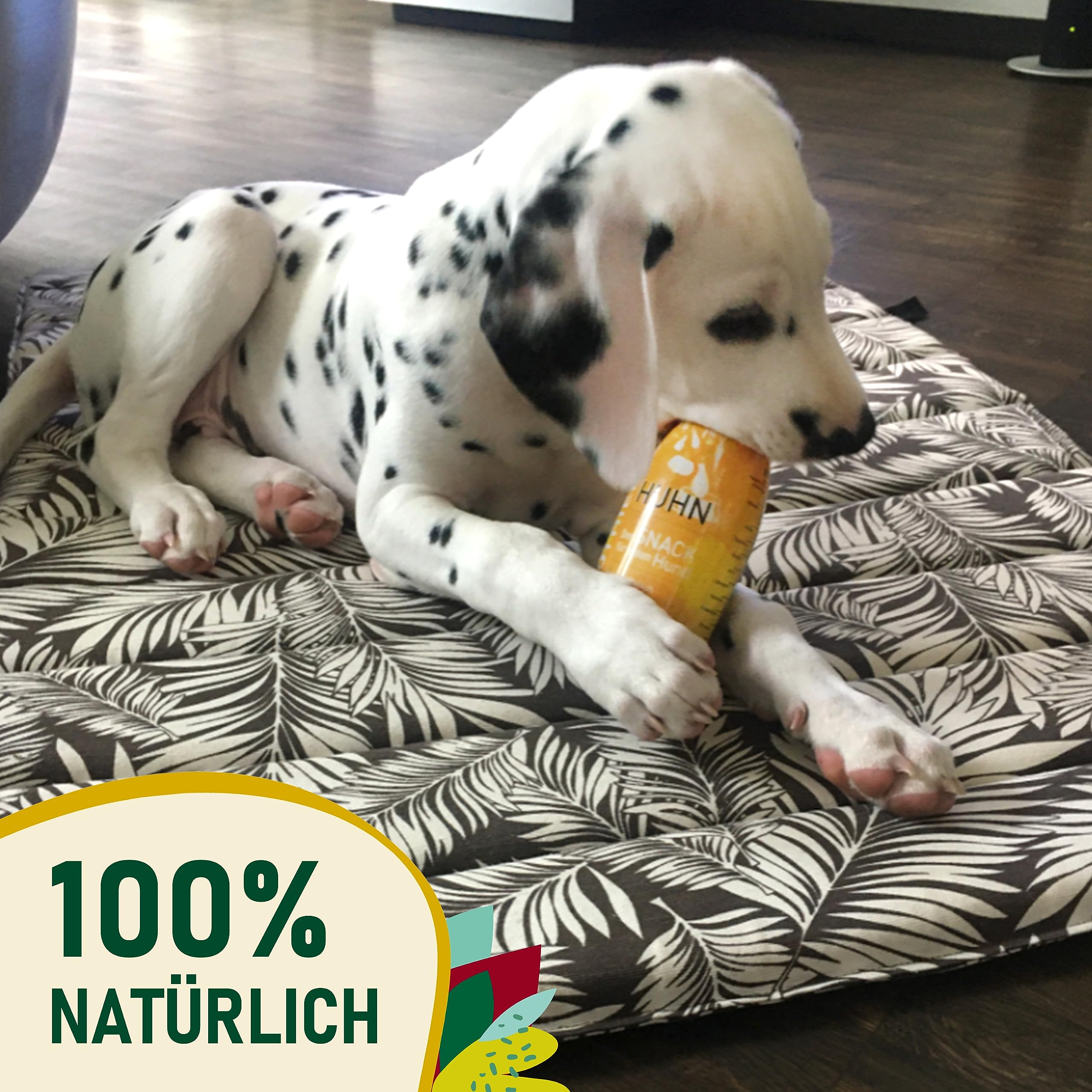 Hunde Smoothie SmoothieDog 12er Mix - je 6X: Huhn, Rind - Flüssiges Hundeleckerli - Zucker- & glutenfrei - je 250ml