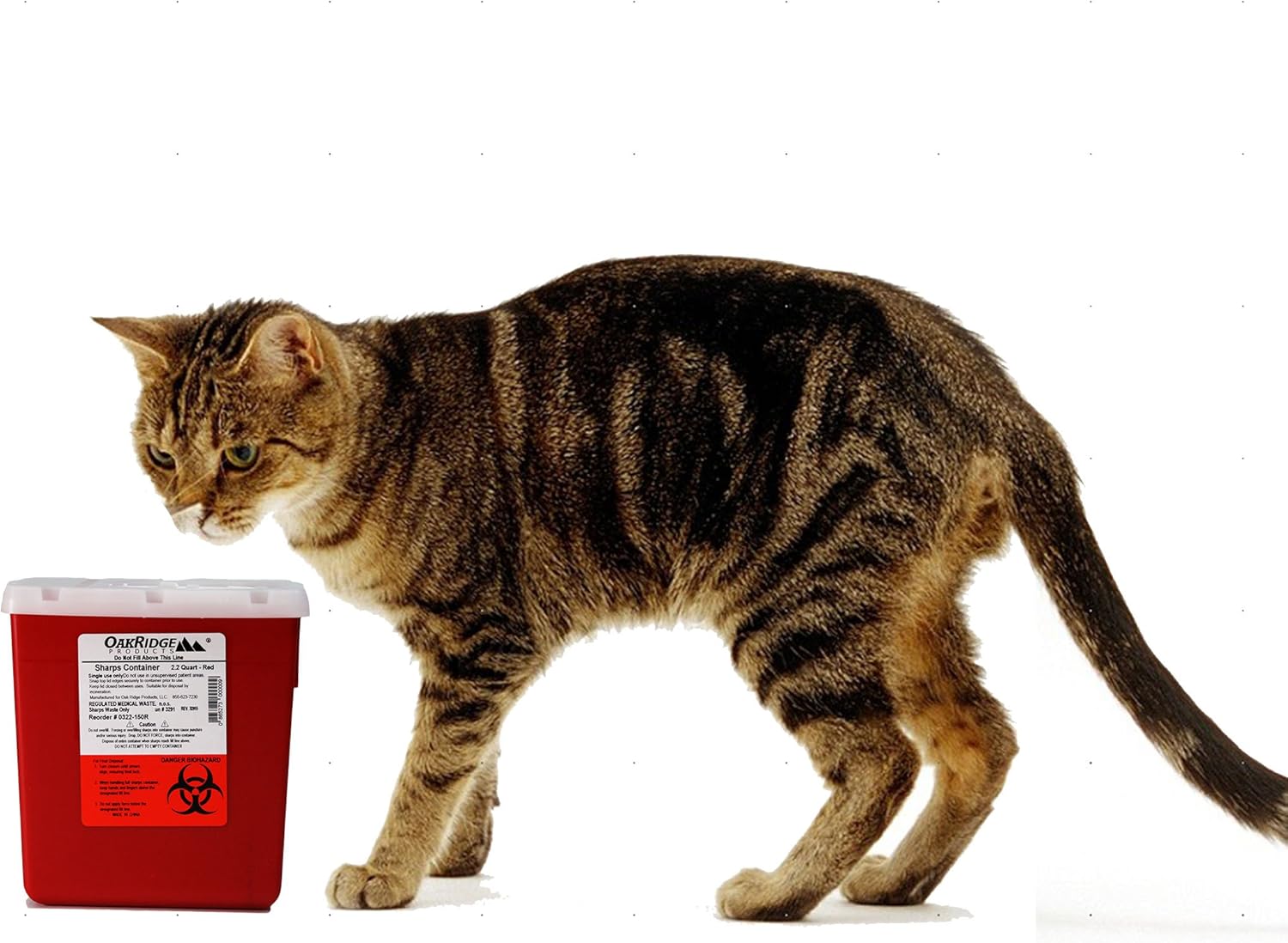 Oakridge Products 2.2 Quart Size Needle Disposal Container | Personal use Size | Rotary lid : Health & Household