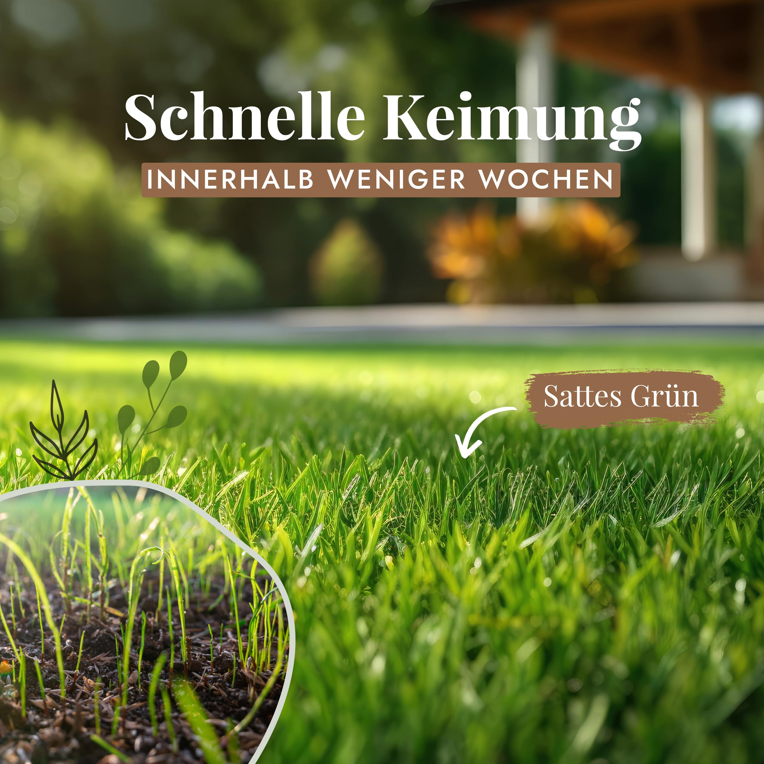 canabis welcher dünger ProviPlant Cannabis-Grow-Dünger: Anwendung während der Wachstumsphase main image 0