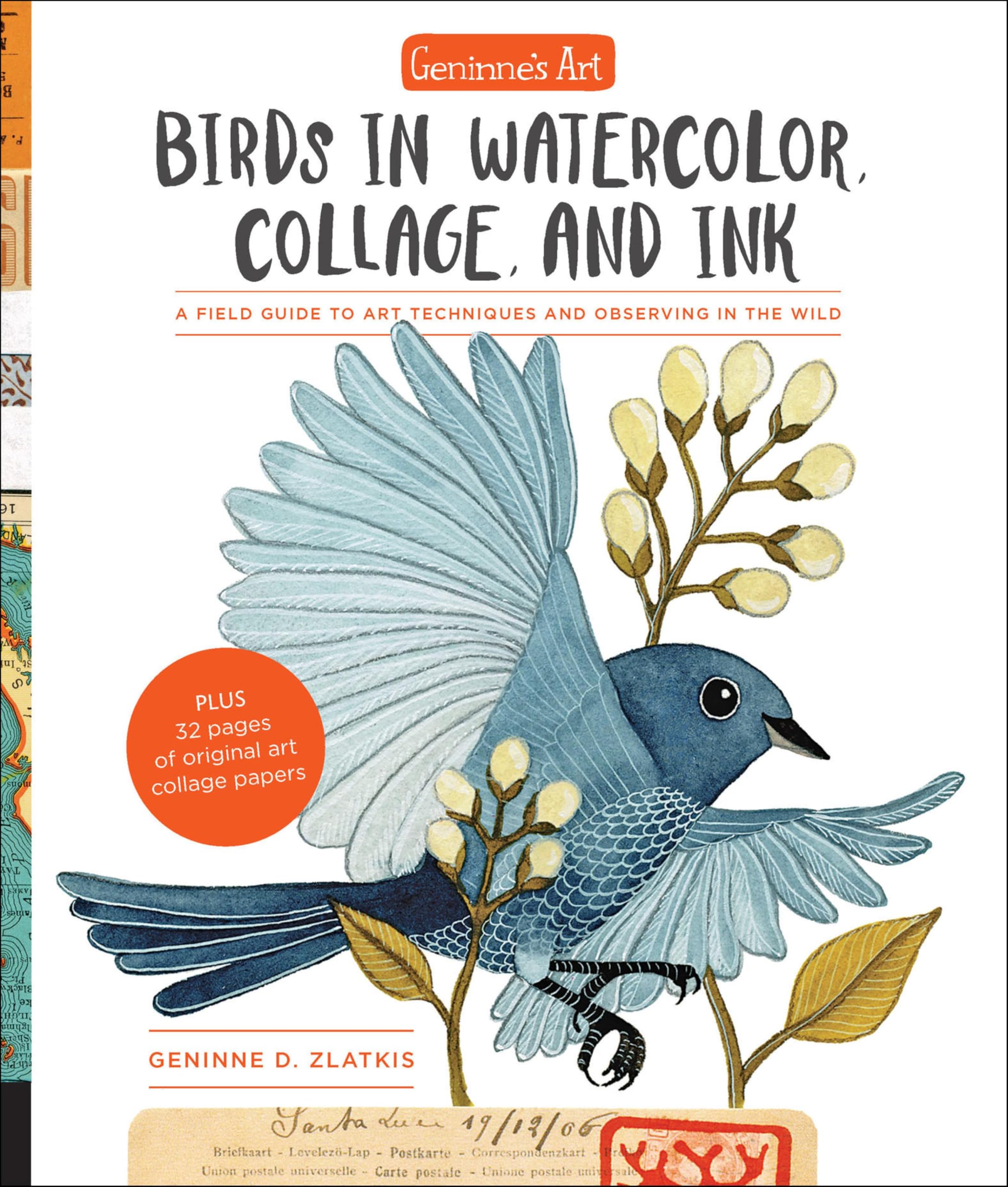 Birds in Watercolor livre aquarelle pour peindre les oiseaux