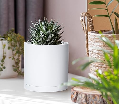 Miniatura 3 de D'vine Dev Paquete de 4 macetas de plástico modernas de 4 pulgadas, macetas de jardín pequeñas para plantas con agujeros de drenaje y platillos,