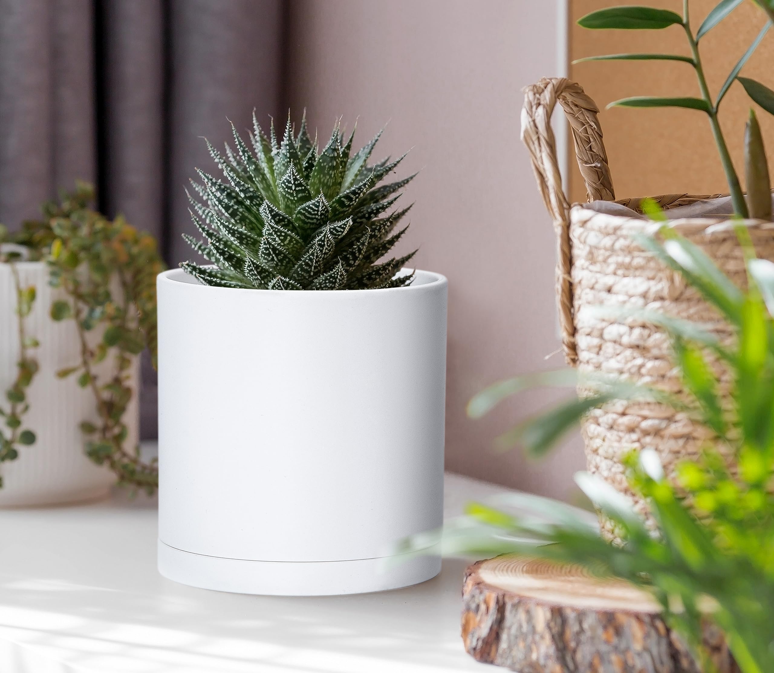 Amazon.com: NEIGHBORHOOD POT CE-PLANT SRL.DEN-4X/ 鉢・プランター INGIORDAR Plant Corner Outdoor Indoor Stand Plant 鉢・プランター
