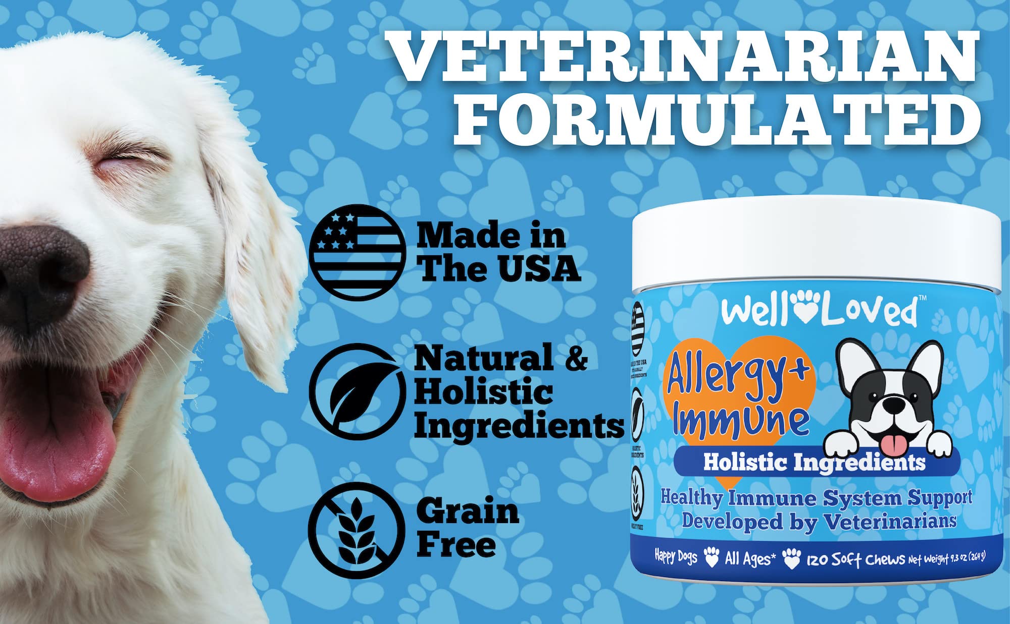 Buy Well Loved Dog Allergy Chews Dog Allergy Relief, Made in USA, Vet