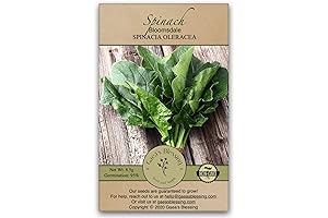 Gaea's Blessing Spinach Plant | Quick & Effortless Winter Giant Seeds |...