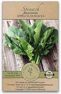Sponsored Ad - Gaea's Blessing Seeds - Spinach Seeds (3.0g) - Bloomsdale Spinach Non-GMO Seeds with Easy to Follow Plantin...