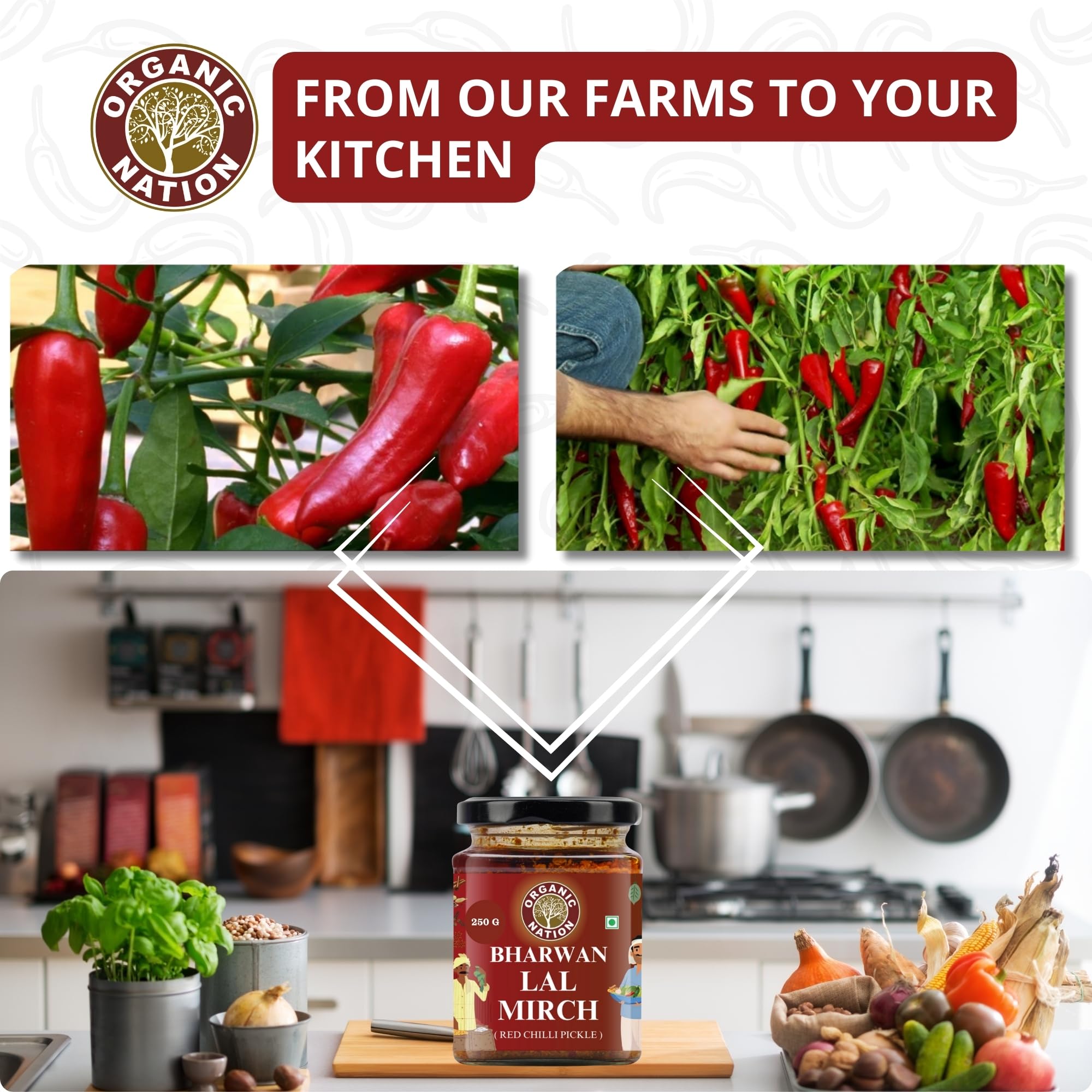 ORGANIC NATION Deliciously Tangy Stuffed Red Chilli Pickle | Authentic Bharwa Mirchi Ka Achar | Traditional Lal Mirch Ka Achar | Spicy Mirchi | No Preservatives | 250g Jar | Vibrant Red Color 2