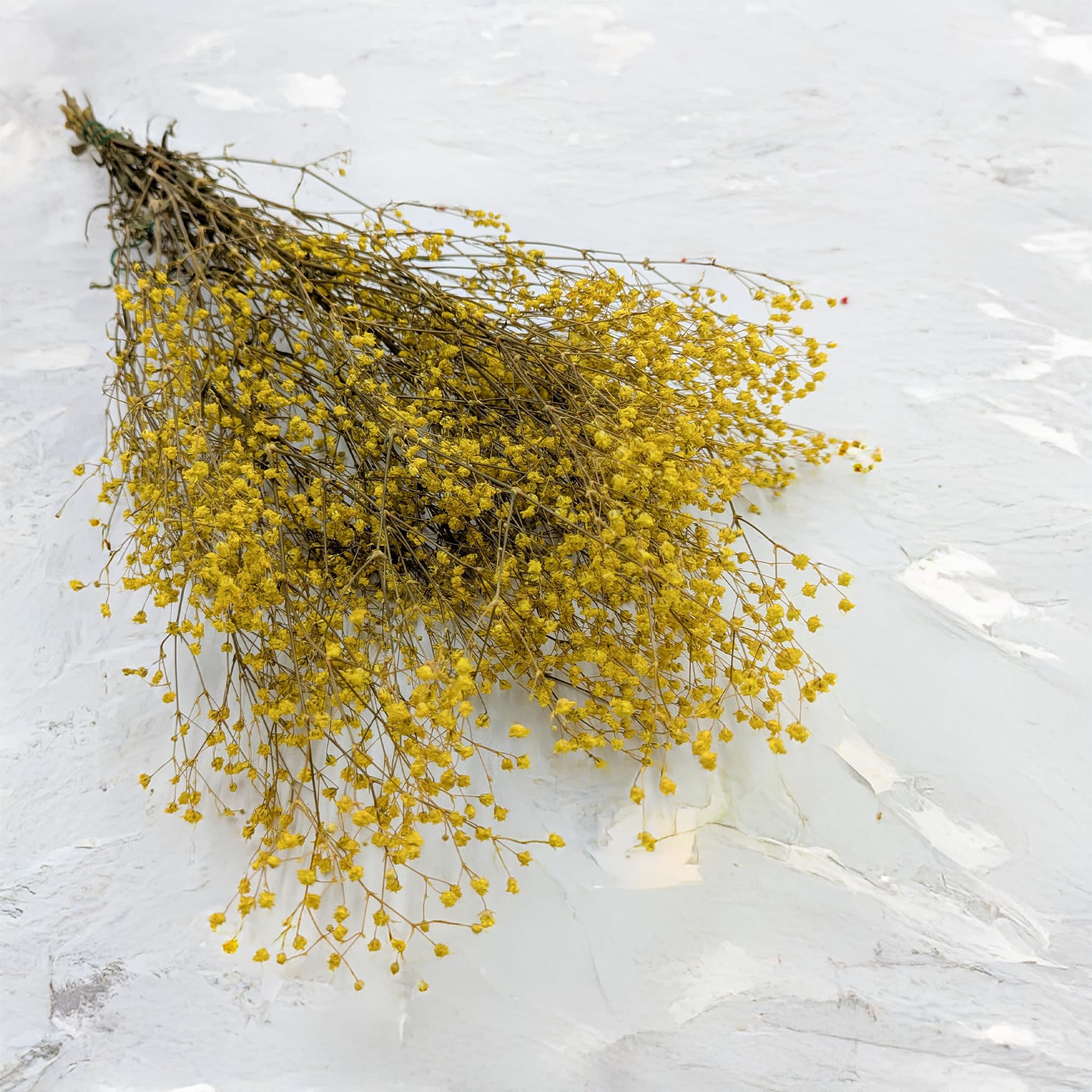 Enchanted Fleurs Séchées, Gypsophile Stabilisée, 120 g, Jaune Pastel