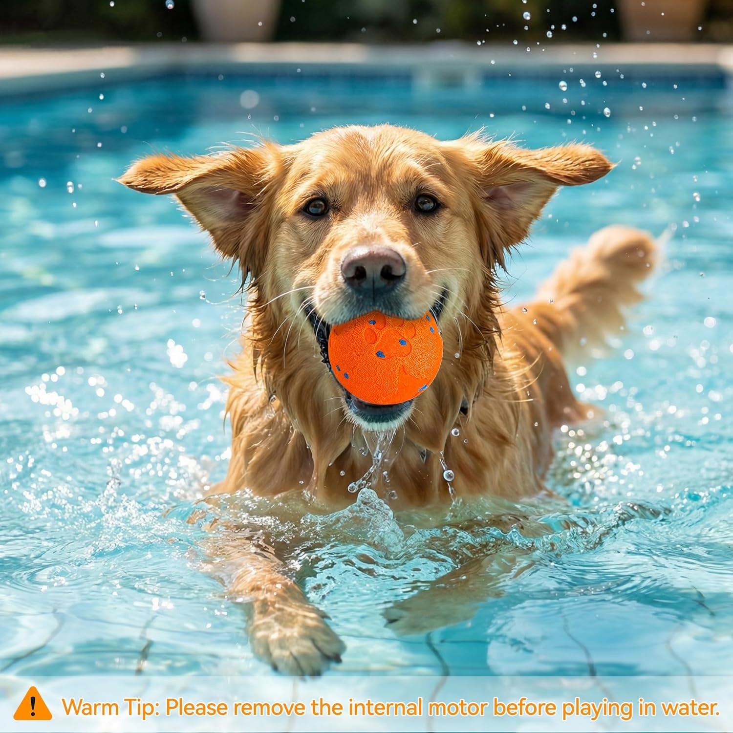 ALL FOR PAWS Interactive Dog Ball Toys, Smart Motion-Activated 2-Mode Automatic Bouncing Ball, E-TPU Material, USB Rechargeable, Enrichment Mental Stimulation Toy for Medium Large Dogs, 3.3 Inches