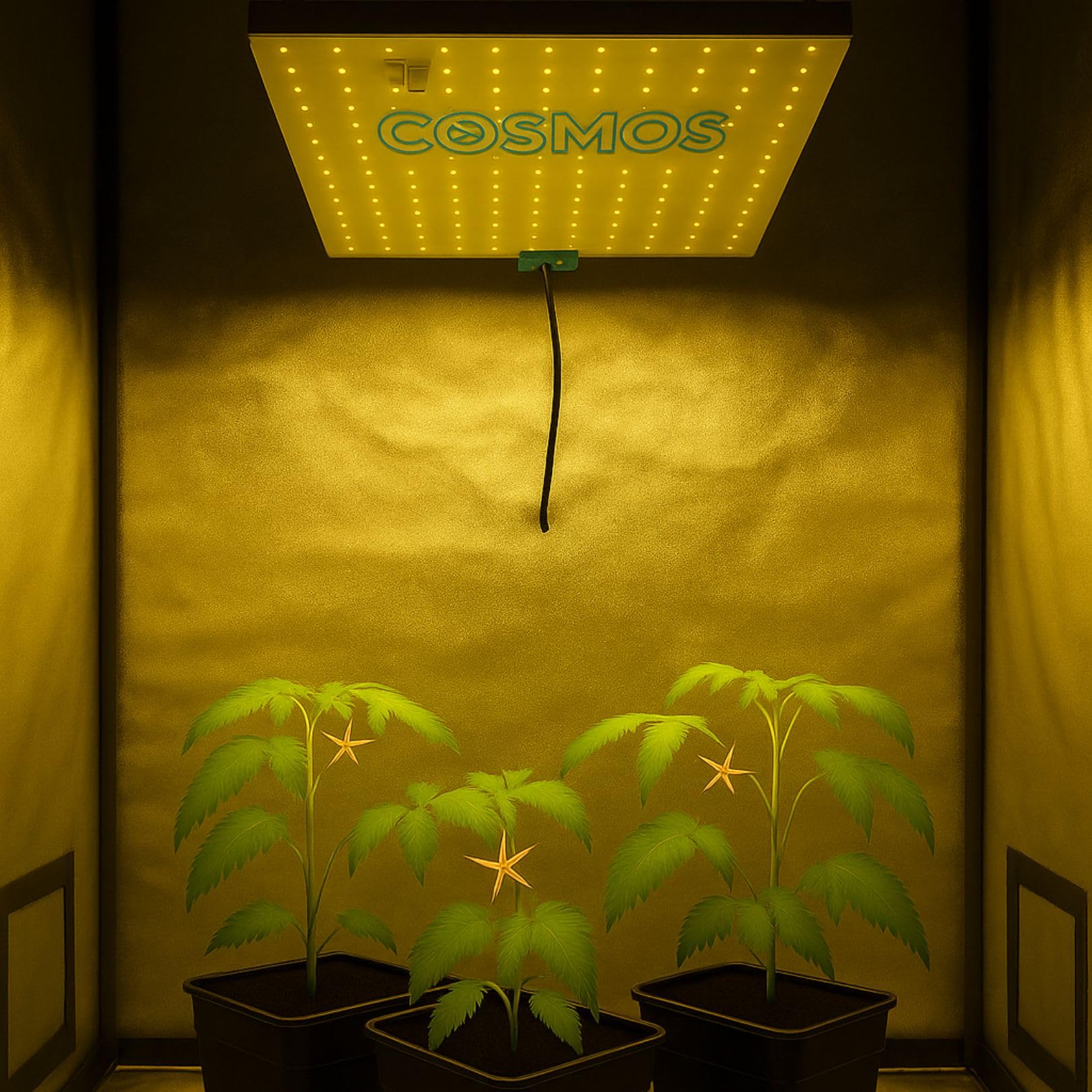 Weedness Cosmos Lampada LED per Piante 150 Watt Spettro Completo 40x40 cm 2,5 μmol/J - Coltivazione Interna Esterna Germinazione Fioritura Crescita